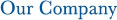 Our Company